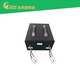 電動車電池批發(fā) 好品質(zhì)源于東莞強(qiáng)力 電動車電池代理